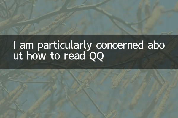 QQの読み方が特に気になる