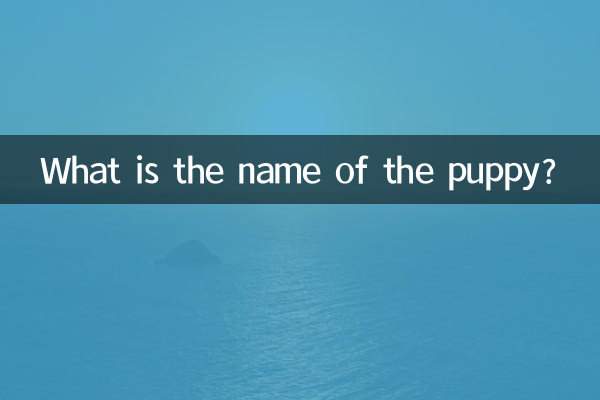 কুকুরছানাটির নাম কী?