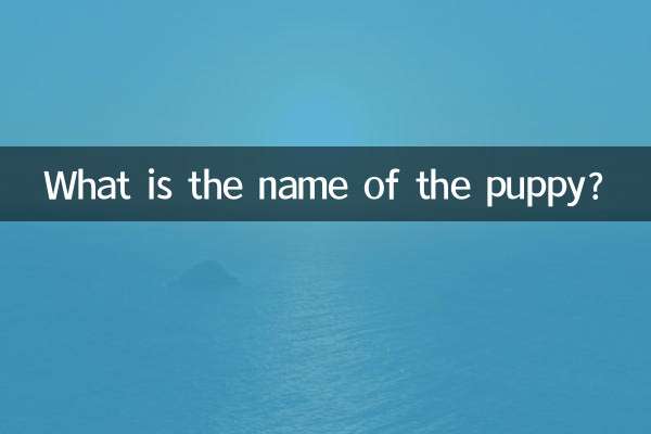 কুকুরছানাটির নাম কী?