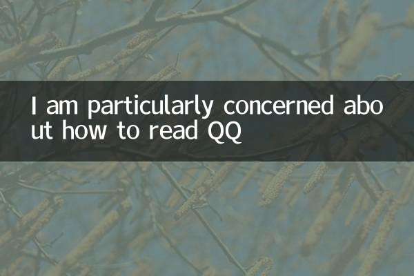 qq怎么看特别关心