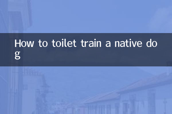 토종견 배변훈련 방법