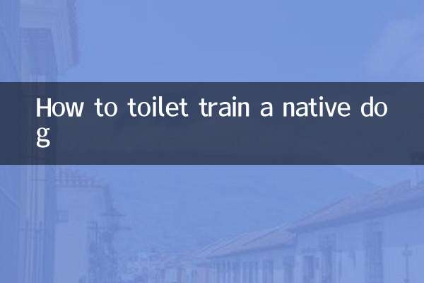 토종견 배변훈련 방법