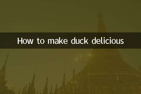 طرز تهیه اردک خوشمزه