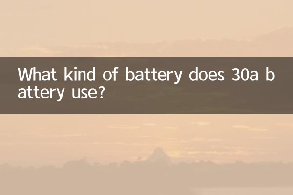 30a電調用什麼電池