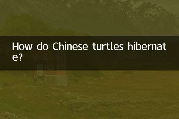 Как зимуют китайские черепахи?