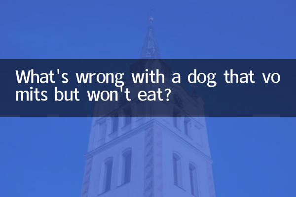 狗吐不吃東西是怎麼回事