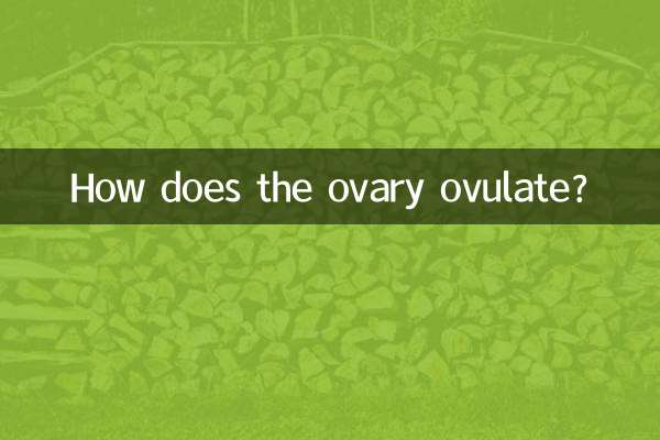 난소는 어떻게 배란되나요?
