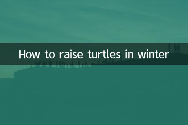 冬季烏龜怎麼養