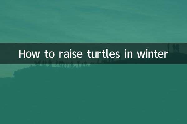 冬季烏龜怎麼養