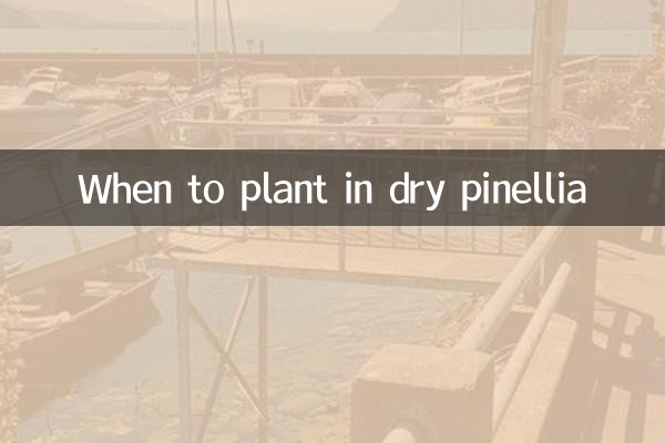 Quand planter dans du pinellia sec