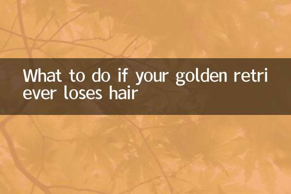 골든 리트리버의 털이 빠지면 어떻게 해야 할까요?