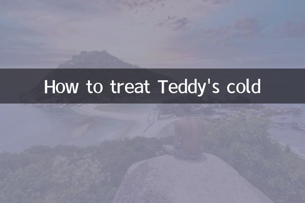 Como tratar o resfriado de Teddy
