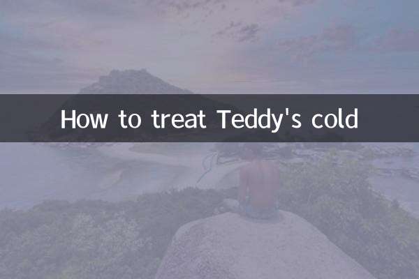 Como tratar o resfriado de Teddy