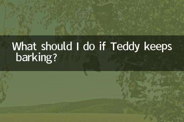 Was soll ich tun, wenn Teddy weiter bellt?