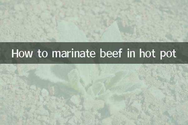 نحوه مارینه کردن گوشت گاو در قابلمه داغ