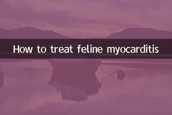 Como tratar a miocardite felina
