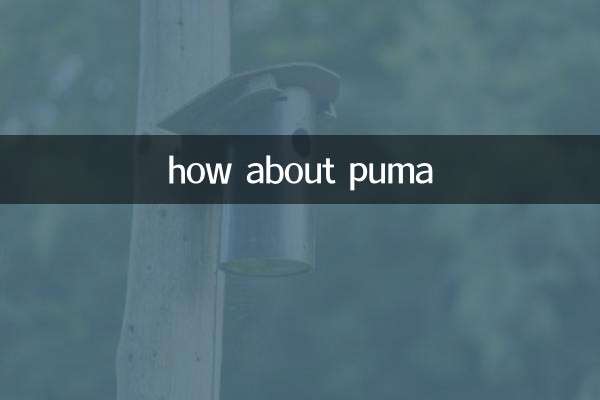 puma怎麼樣
