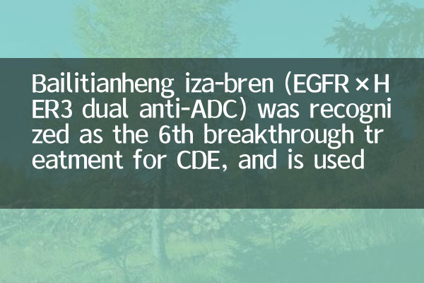 تم التعرف على Bailitianheng Iza-Bren (EGFR × HER3 Dual ADC) كعلاج اختراق السادس لـ CDE ، ويستخدم لسرطان المبيض المتكرر المقاوم للبلاتين ، إلخ.