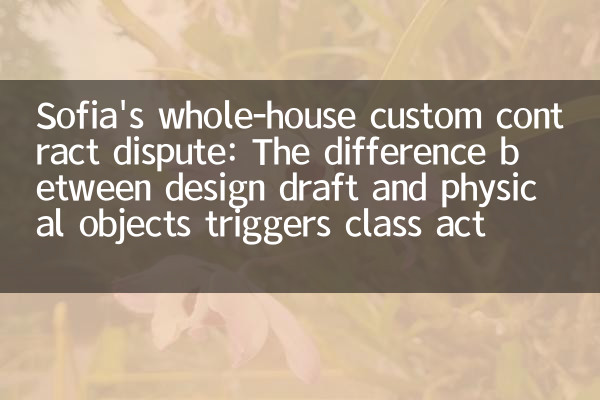 Controversia contrattuale personalizzata di Sofia di Sofia: la differenza tra progetto di progettazione e oggetti fisici innesca la causa legale