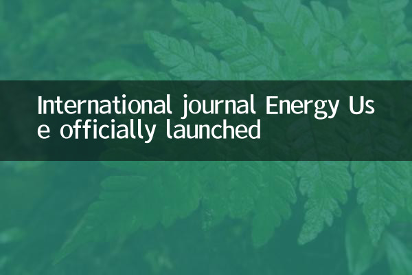 INTERNAZIONALE INTERNAZIONALE ENERGIA USATO UFFICIALE