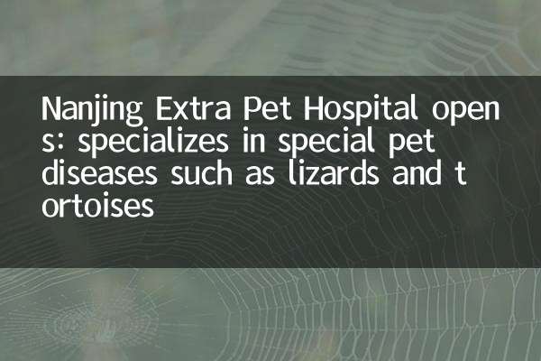 Nanjing Extra Pet Hospital wird geöffnet: Spezialisiert auf spezielle Haustierkrankheiten wie Eidechsen und Schildkröten