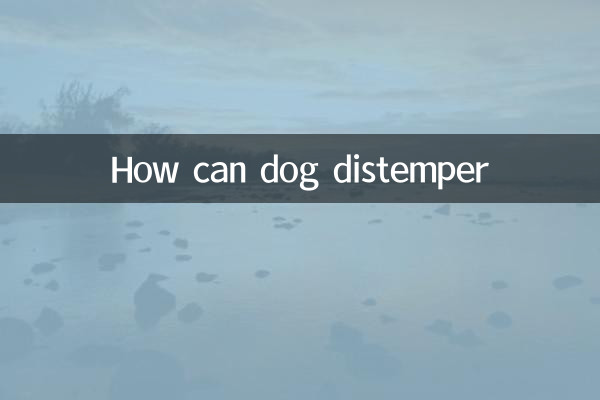 ¿Cómo puede el perro DISPER?