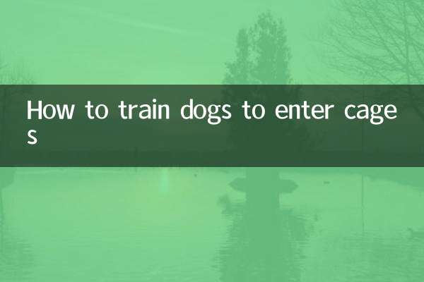 How to train dogs to enter cages