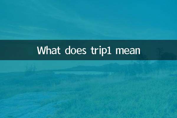 trip1是什么意思