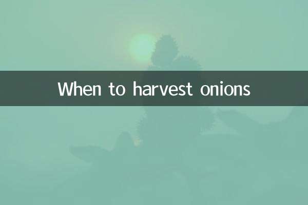 When to harvest onions