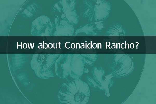Conaidon Rancho چطور؟
