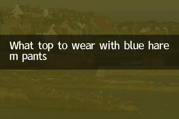Welches Oberteil trägt man zu einer blauen Haremshose?