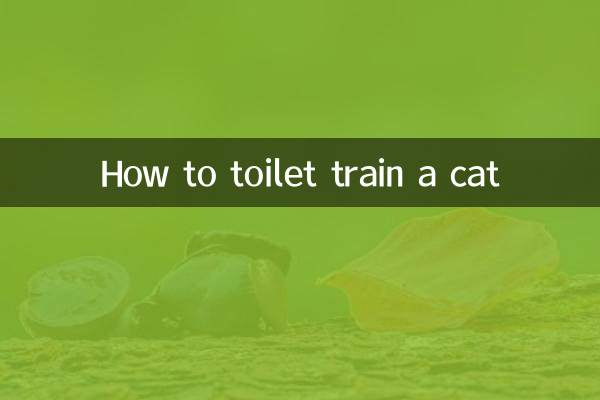 How to toilet train a cat