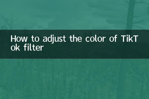 So passen Sie die Farbe des TikTok-Filters an