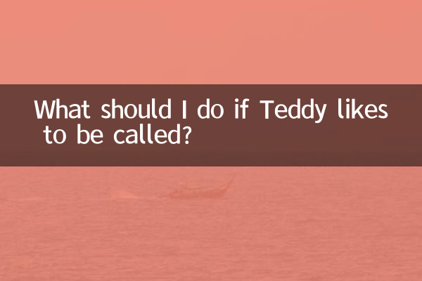O que devo fazer se Teddy gosta de ser chamado?