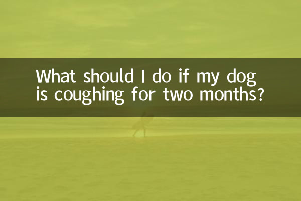 What should I do if my dog is coughing for two months?