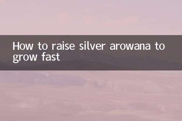 Wie man Silber-Arowana so züchtet, dass es schnell wächst