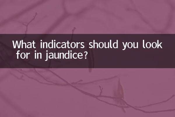 Auf welche Anzeichen sollte man bei Gelbsucht achten?