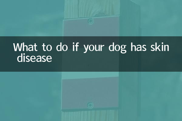 What to do if your dog has skin disease