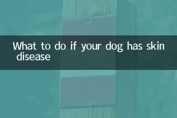 Que faire si votre chien a une maladie de peau