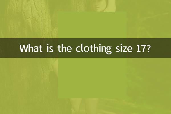 سایز لباس 17 چنده؟