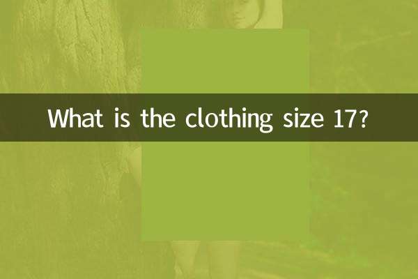 سایز لباس 17 چنده؟