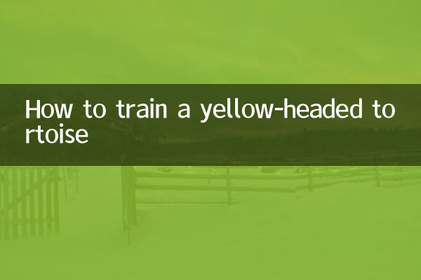 Comment dresser une tortue à tête jaune