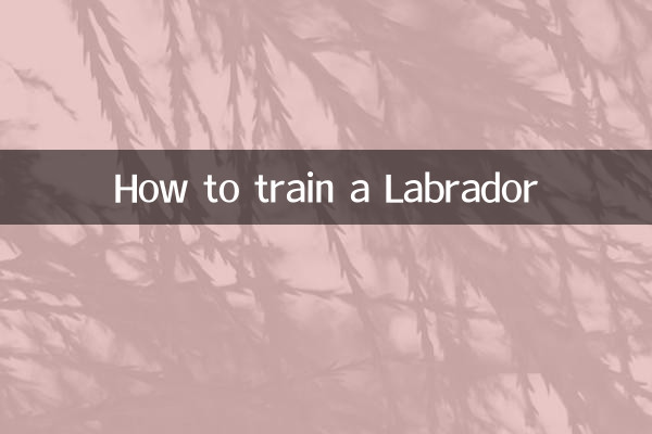 ラブラドールのしつけ方