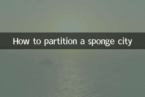 How to divide sponge city