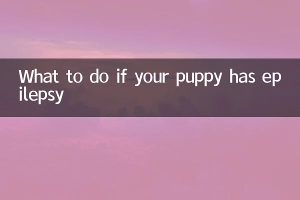 O que fazer se seu cachorro tiver epilepsia