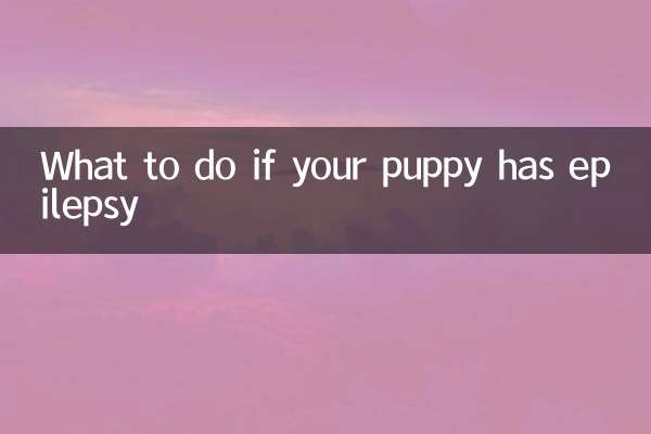 O que fazer se seu cachorro tiver epilepsia