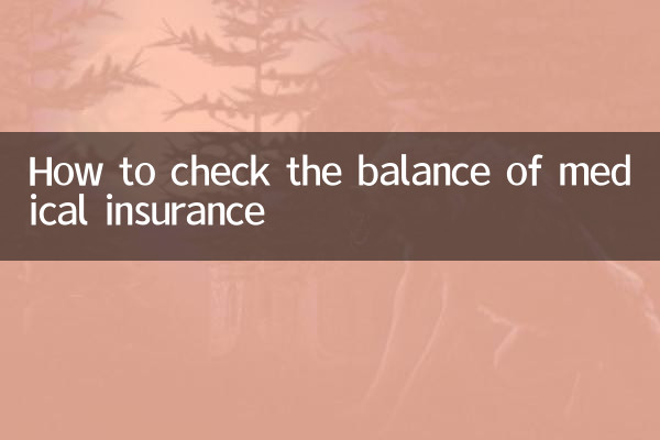 医療保険の残高を確認するには
