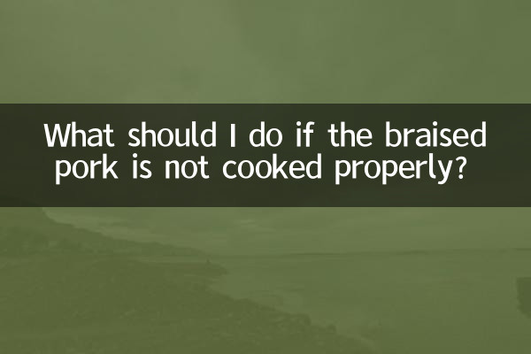 Cosa devo fare se il brasato di maiale non è cotto correttamente?