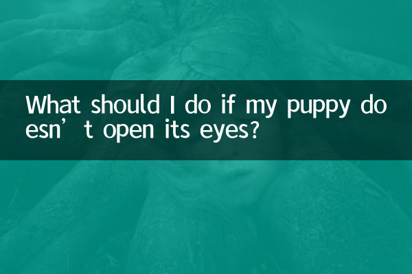 ماذا علي أن أفعل إذا كان الجرو لا يفتح عينيه؟