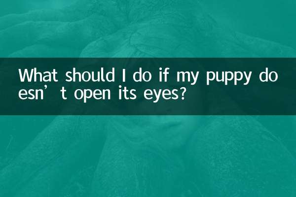 ماذا علي أن أفعل إذا كان الجرو لا يفتح عينيه؟